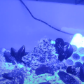 capture_du_2022-11-25_14-41-00.png