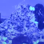 capture_du_2023-06-20_10-32-33.png